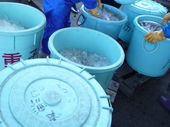 樽いっぱいのマサバ