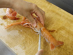 手長エビのさばき方1