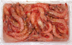 本エビ小サイズ500g