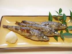 めひかり丸焼き