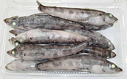 めひかり丸冷凍