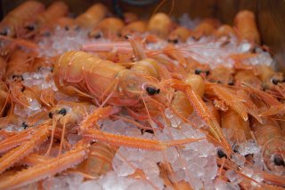 アカザエビ　甘さ・旨さ最上級