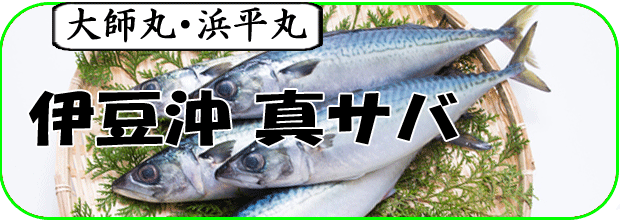 真サバ（伊豆沖）