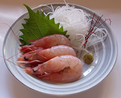 本エビ刺身