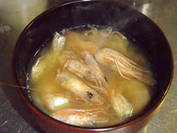 えびの頭の味噌汁