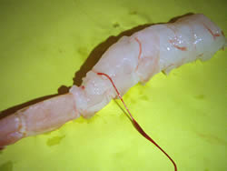 背わたのとり方　その２