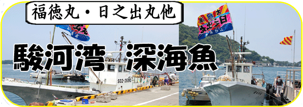 深海魚（駿河湾）