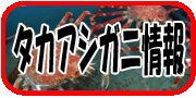 タカアシガニ情報
